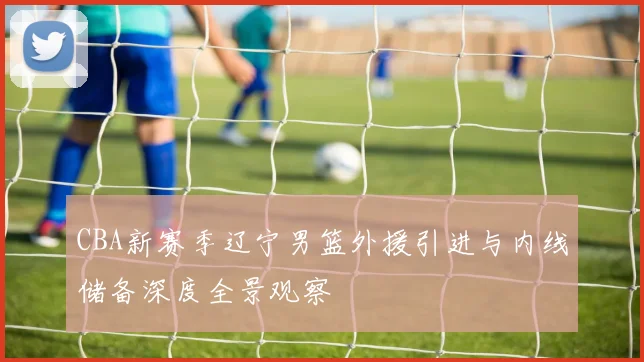 CBA新赛季辽宁男篮外援引进与内线储备深度全景观察