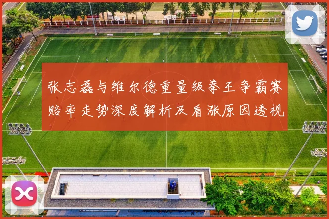 张志磊与维尔德重量级拳王争霸赛赔率走势深度解析及看涨原因透视