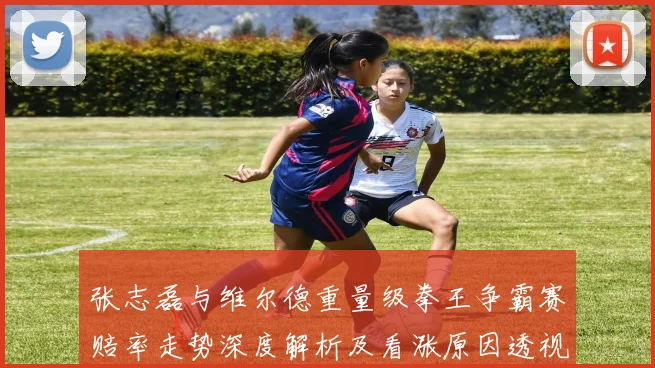 张志磊与维尔德重量级拳王争霸赛赔率走势深度解析及看涨原因透视